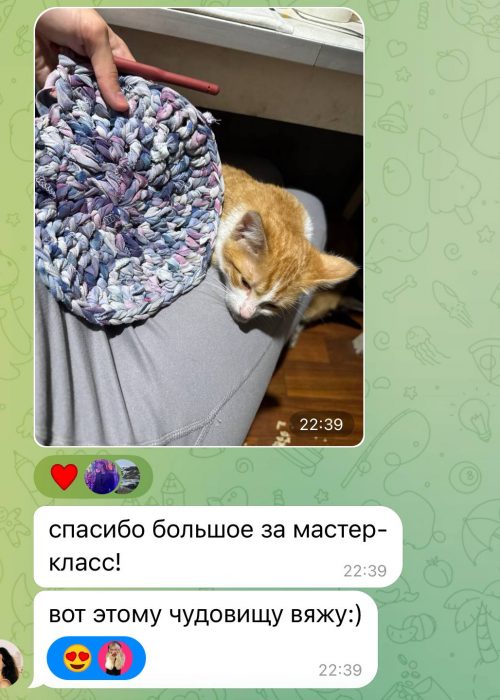 5262556903500354016